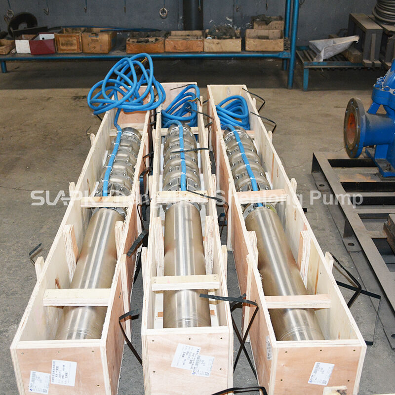 Bơm chìm giếng sâu lưu lượng 300 m³/h, cột áp 100 m, động cơ 140 kW cho ứng dụng nước biển
