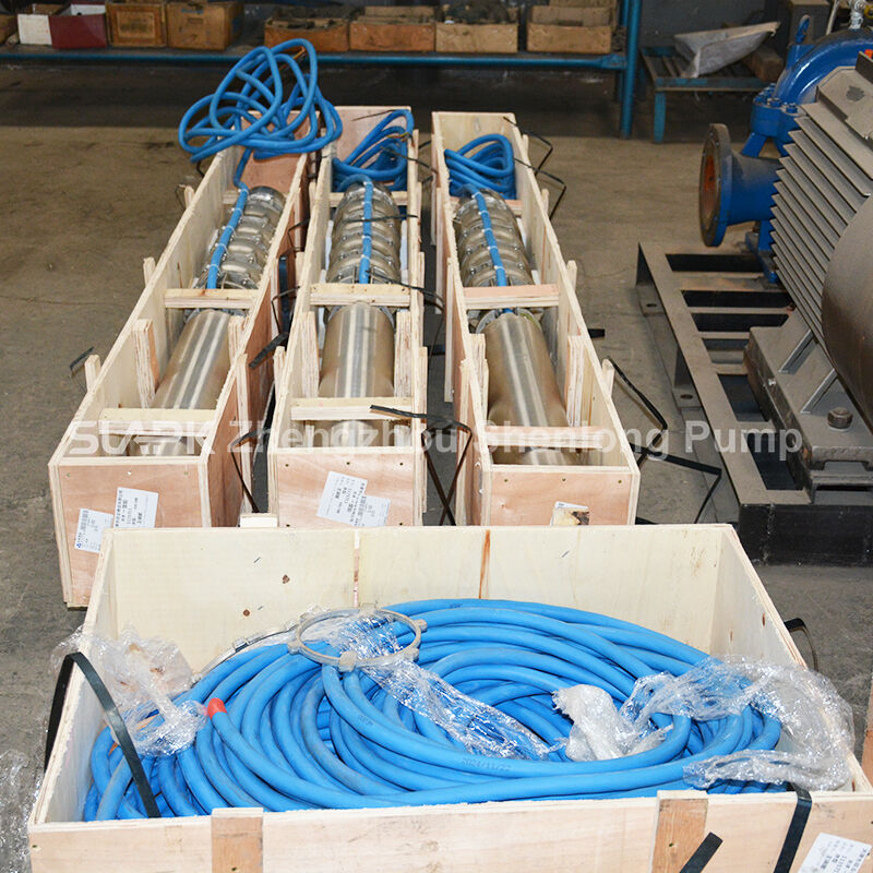 Bơm chìm giếng sâu lưu lượng 300 m³/h, cột áp 100 m, động cơ 140 kW cho ứng dụng nước biển